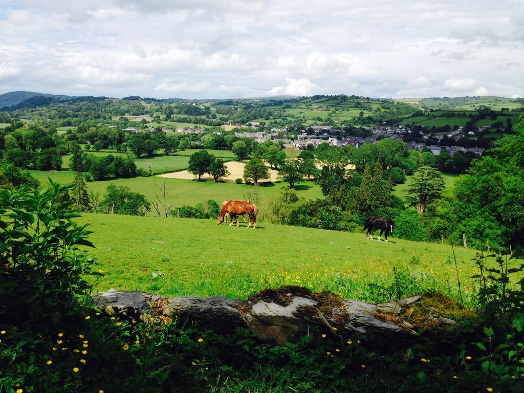 The Eagles Hotel Llanrwst Ngoại thất bức ảnh
